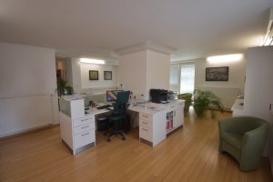 Vila s poslovnimi prostori