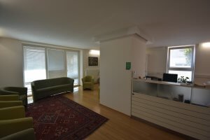 Vila s poslovnimi prostori