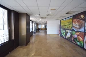 Poslovna stavba Delo