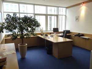 Pisarne za najem v Ljubljani, Poslovni center Brinje