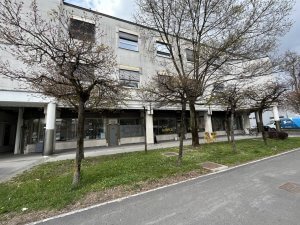 Poslovni prostori na Tržaški cesti
