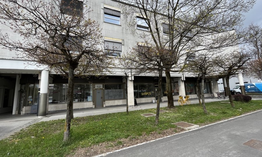 Poslovni prostori na Tržaški cesti